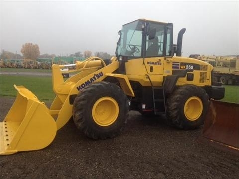 Wheel Loaders Komatsu WA250