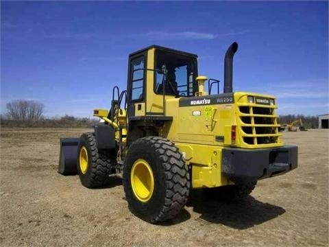 Wheel Loaders Komatsu WA250