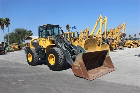 Wheel Loaders Komatsu WA300