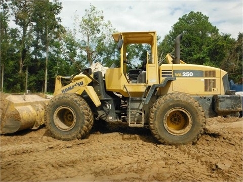 Wheel Loaders Komatsu WA250