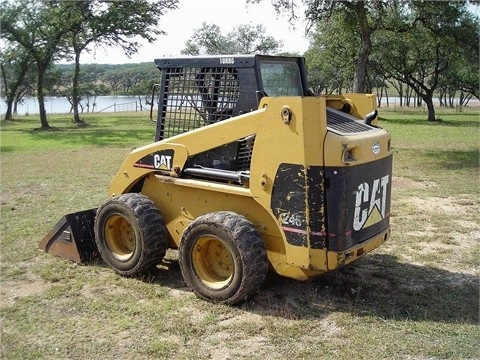 Miniloaders Caterpillar 246