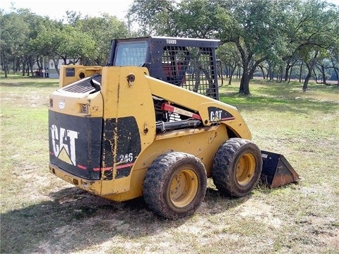  Caterpillar 246 de medio uso en venta Ref.: 1390160431293065 No. 2