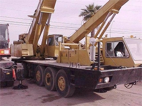 Cranes Grove TM875