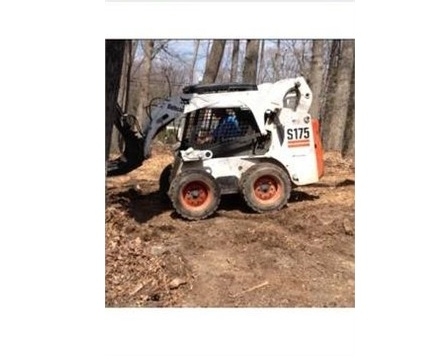 Miniloaders Bobcat S175