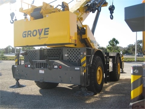 Cranes Grove RT890E