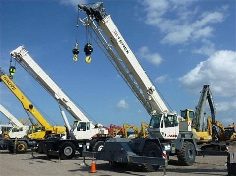 Cranes Terex RT335