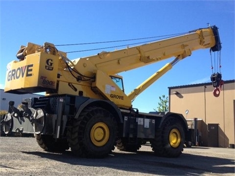 Cranes Grove RT890E