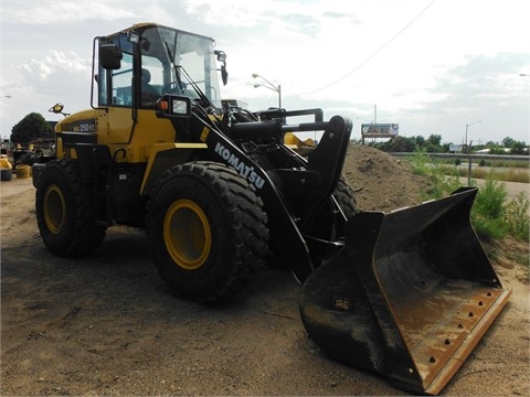 Wheel Loaders Komatsu WA250