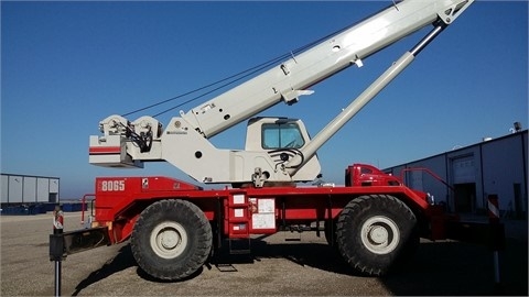 Cranes Link-belt RTC-8065 SERIE II