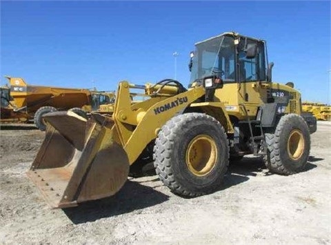Cargadoras Sobre Ruedas Komatsu WA250