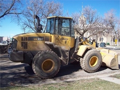 Wheel Loaders Komatsu WA250