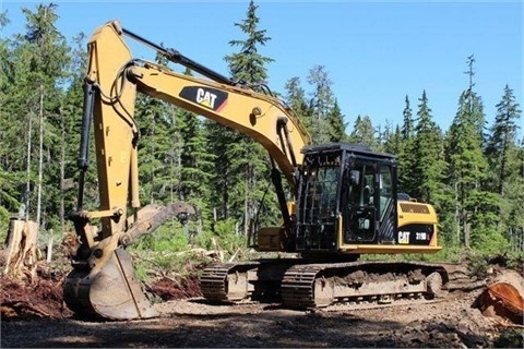 Hydraulic Excavator Caterpillar 319DL