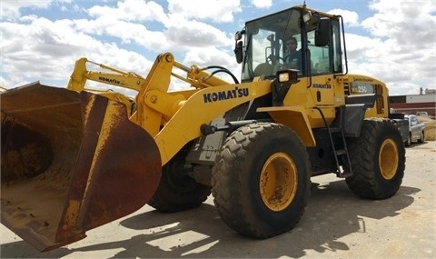 Wheel Loaders Komatsu WA250