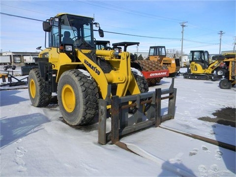 Wheel Loaders Komatsu WA250