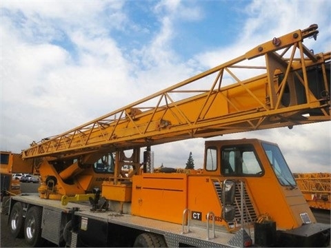 Cranes Terex T335