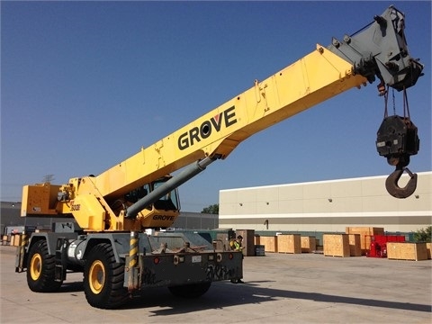 Cranes Grove RT600E