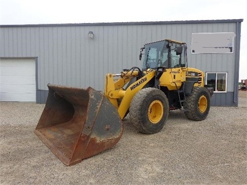 Wheel Loaders Komatsu WA250