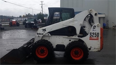 Miniloaders Bobcat S250