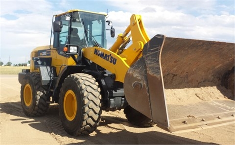 Cargadoras Sobre Ruedas Komatsu WA320