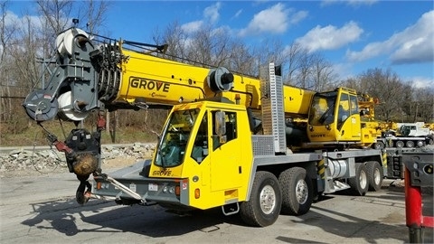 Cranes Grove TMS9000E