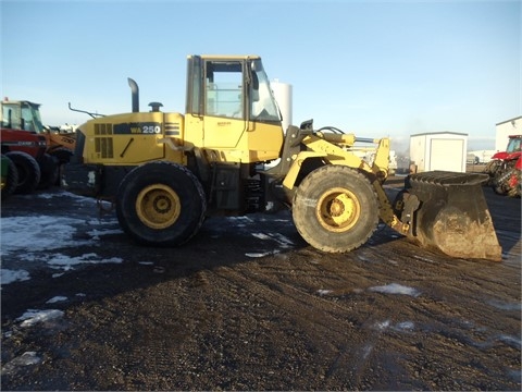 Cargadoras Sobre Ruedas Komatsu WA250