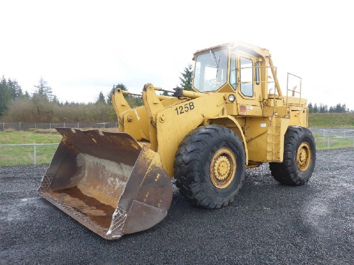 Wheel Loaders Michigan 125B