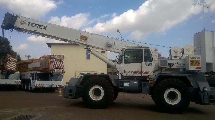 Cranes Terex RT665