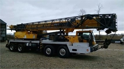 Cranes Grove TMS900E