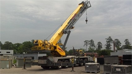 Cranes Grove TMS800E