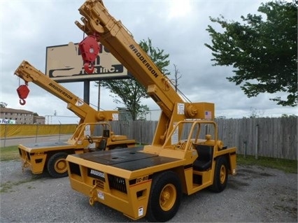 Cranes Broderson IC80