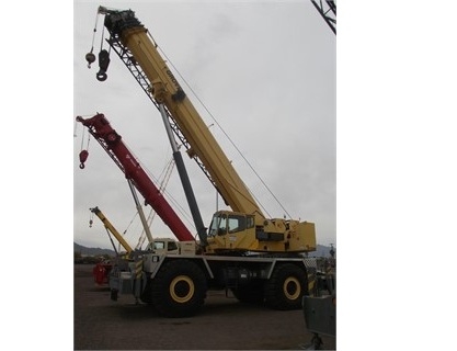 Cranes Grove RT9130E
