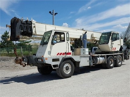 Cranes Terex T335