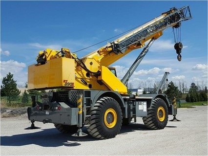 Cranes Grove RT890E