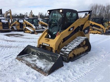 Miniloaders Caterpillar 289C