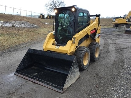Minicargadores Caterpillar 242