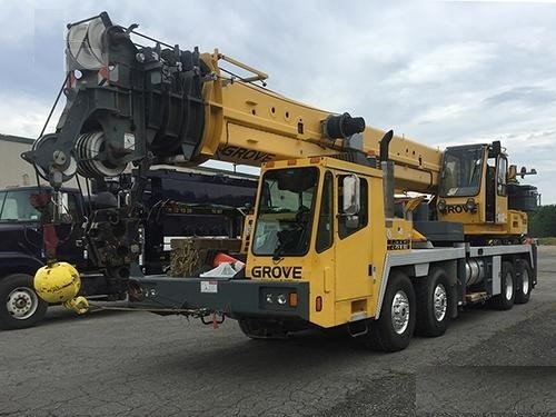 Cranes Grove TMS900E