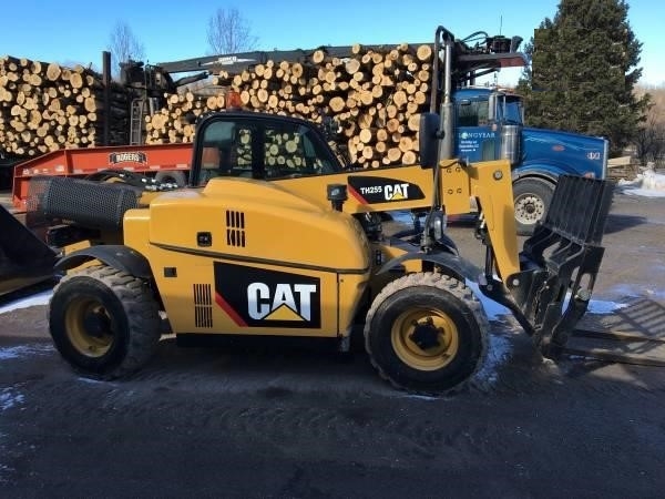 Telehandler Caterpillar TH255C