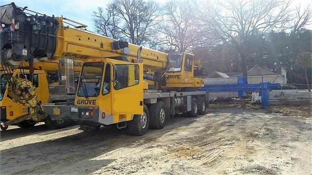 Cranes Grove TMS900E