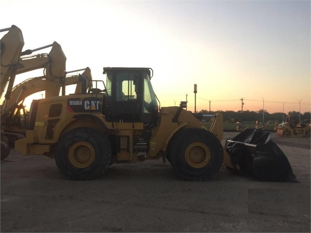 Cargadoras Sobre Ruedas Caterpillar 950 de segunda mano a la vent Ref.: 1541631810089829 No. 2