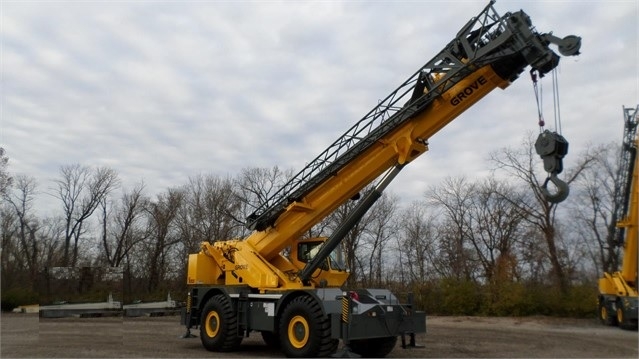 Cranes Grove RT890E