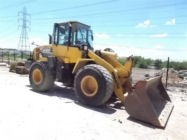 Cargadoras Sobre Ruedas Komatsu WA250