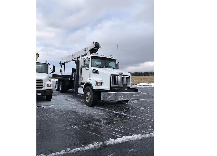 Cranes Manitex 26101C