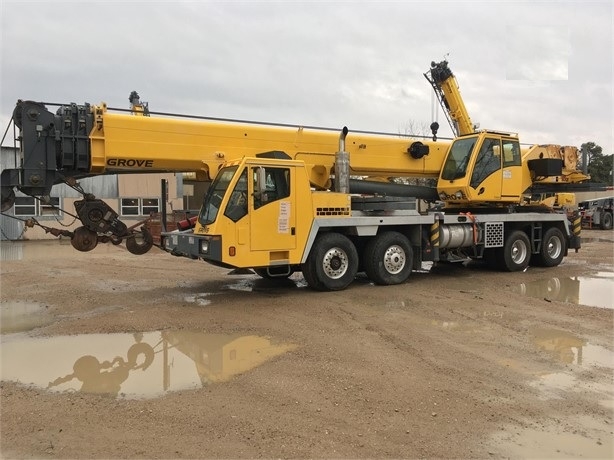 Cranes Grove TMS800E