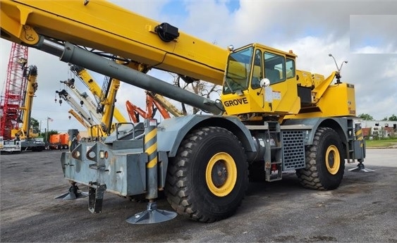Cranes Grove RT880E