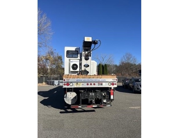 Gruas Altec AC38-127S en buenas condiciones Ref.: 1764180403767462 No. 4